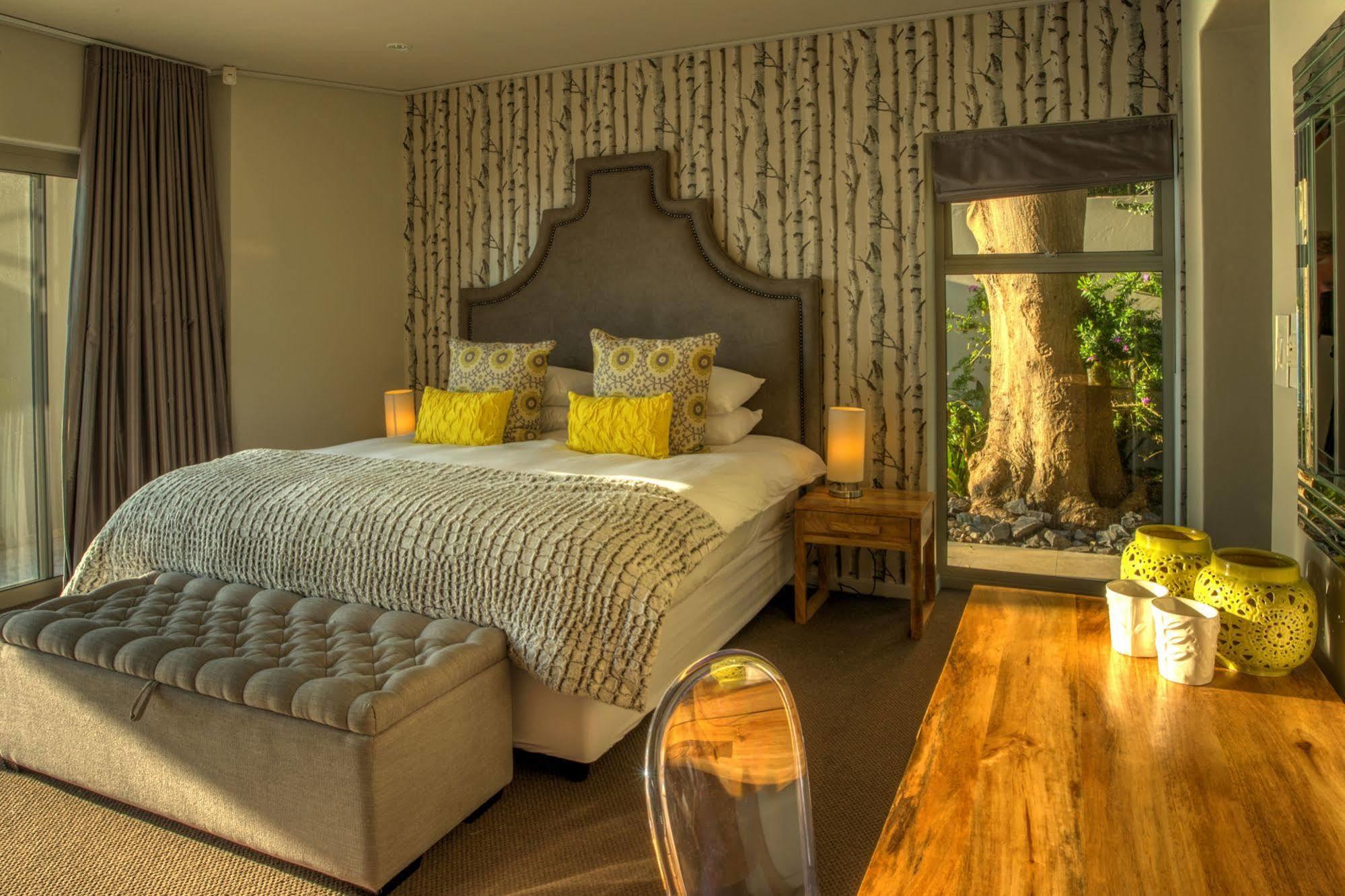 Aegea Cape Town